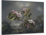 Apple Blossoms and Hummingbird, 1871 by Martin Johnson Heade