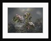 Apple Blossoms and Hummingbird, 1871 by Martin Johnson Heade