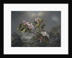 Apple Blossoms and Hummingbird, 1871 by Martin Johnson Heade