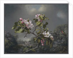 Apple Blossoms and Hummingbird, 1871 by Martin Johnson Heade