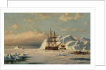 Caught in the Ice Floes, after 1870 by William Bradford