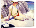 Sunbather on the Beach, Iona, 1928 by Francis Campbell Boileau Cadell