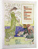 Here's Venus' Combe for Maidenhair, 1899 by Walter Crane