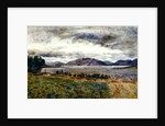 Loch Strivan by William Davis