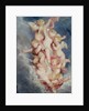 Putti Ascending by William Derby