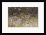 Fairy Rings and Toadstools, 1875 by Richard Doyle