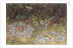 Fairy Rings and Toadstools, 1875 by Richard Doyle