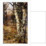 Old Warren, Bryanston by English School