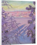 A Winter Landscape, 1917 by Akseli Valdemar Gallen-Kallela