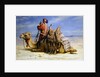 A Nomad and His Camel Resting in the Desert, 1874 by Carl Haag