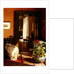 A Bit of Sunlight by Mary Hayllar