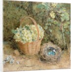 Chaffinch's Nest with Primroses by William Henry Hunt