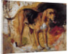 A Study of a Bloodhound, 1848 by William Holman Hunt