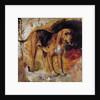 A Study of a Bloodhound, 1848 by William Holman Hunt