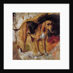 A Study of a Bloodhound, 1848 by William Holman Hunt