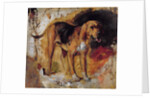 A Study of a Bloodhound, 1848 by William Holman Hunt