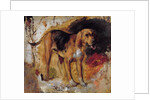 A Study of a Bloodhound, 1848 by William Holman Hunt