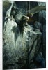 The Dragon's Cave, 1917 by Georg Janny