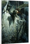 The Dragon's Cave, 1917 by Georg Janny