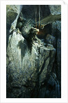 The Dragon's Cave, 1917 by Georg Janny
