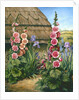 Cottage Garden with Hollyhocks, 1995 by Amelia Kleiser