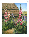 Cottage Garden with Hollyhocks, 1995 by Amelia Kleiser