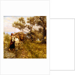 Ligurian Olives by Henry Herbert La Thangue