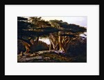 The Cedars of Lebanon, 1861 by Edward Lear