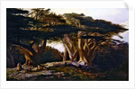 The Cedars of Lebanon, 1861 by Edward Lear