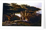 The Cedars of Lebanon, 1861 by Edward Lear