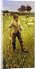 A Young Shepherd by School Newlyn