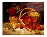 Still life of basket with strawberries and cherries, 1898 by Eloise Harriet Stannard