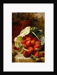 Strawberries in a cabbage leaf, 1891 by Eloise Harriet Stannard