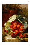 Strawberries in a cabbage leaf, 1891 by Eloise Harriet Stannard