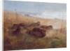 Snipe, 1923 by Archibald Thorburn