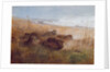 Snipe, 1923 by Archibald Thorburn