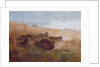 Snipe, 1923 by Archibald Thorburn