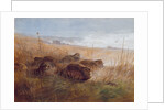Snipe, 1923 by Archibald Thorburn