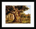 The Old Oak, 1870 by Joseph Thors