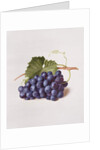 Fruit of the Vine, 1868 by Augusta Innes Withers