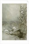 The White Rabbit by Arthur Rackham