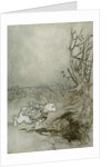 The White Rabbit by Arthur Rackham