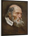 Portrait of an old man by Anthony van (attr. to) Dyck