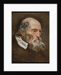 Portrait of an old man by Anthony van (attr. to) Dyck