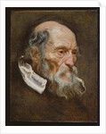 Portrait of an old man by Anthony van (attr. to) Dyck