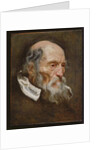 Portrait of an old man by Anthony van (attr. to) Dyck
