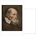 Portrait of an old man by Anthony van (attr. to) Dyck