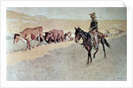 Trailing Texas Longhorns by Frederic Remington