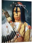 Native American Chief of the Cree people of Canada, 1848 by Paul Kane