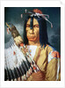 Native American Chief of the Cree people of Canada, 1848 by Paul Kane
